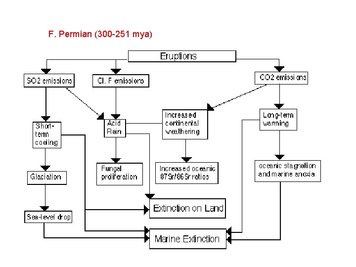 F. Permian (300 -251 mya) 