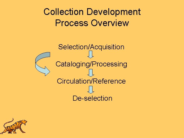 Collection Development Process Overview Selection/Acquisition Cataloging/Processing Circulation/Reference De-selection 