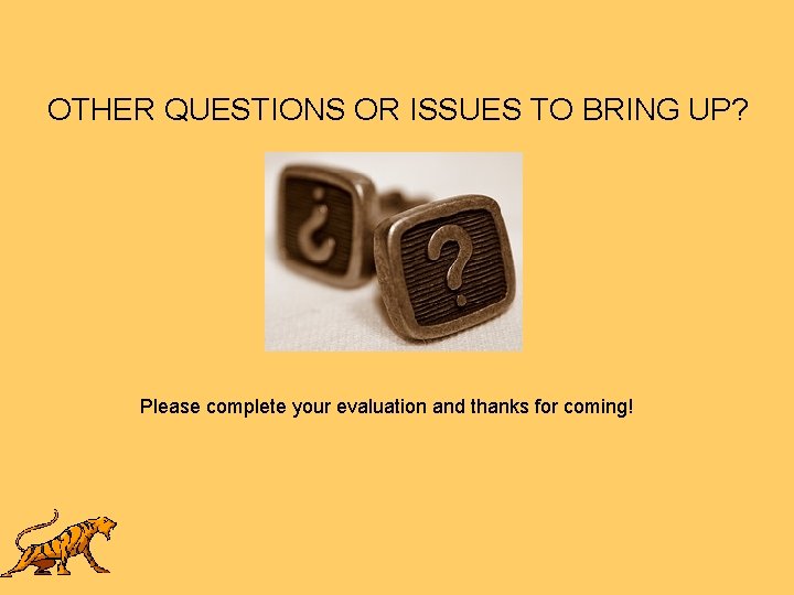 OTHER QUESTIONS OR ISSUES TO BRING UP? Please complete your evaluation and thanks for