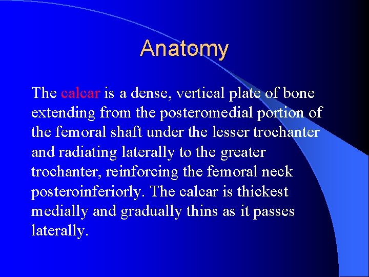 Anatomy The calcar is a dense, vertical plate of bone extending from the posteromedial