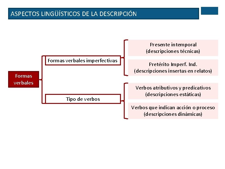 ASPECTOS LINGÜÍSTICOS DE LA DESCRIPCIÓN Presente intemporal (descripciones técnicas) Formas verbales imperfectivas Formas verbales