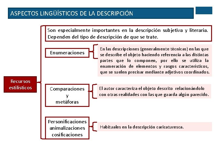 ASPECTOS LINGÜÍSTICOS DE LA DESCRIPCIÓN Son especialmente importantes en la descripción subjetiva y literaria.
