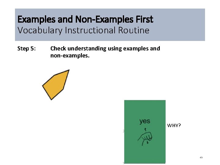 Examples and Non-Examples First Vocabulary Instructional Routine Step 5: Check understanding using examples and