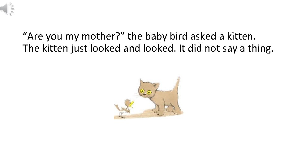 “Are you my mother? ” the baby bird asked a kitten. The kitten just