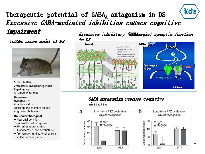 Therapeutic potential of GABAA antagonism in DS Excessive GABA-mediated inhibition causes cognitive impairment Excessive