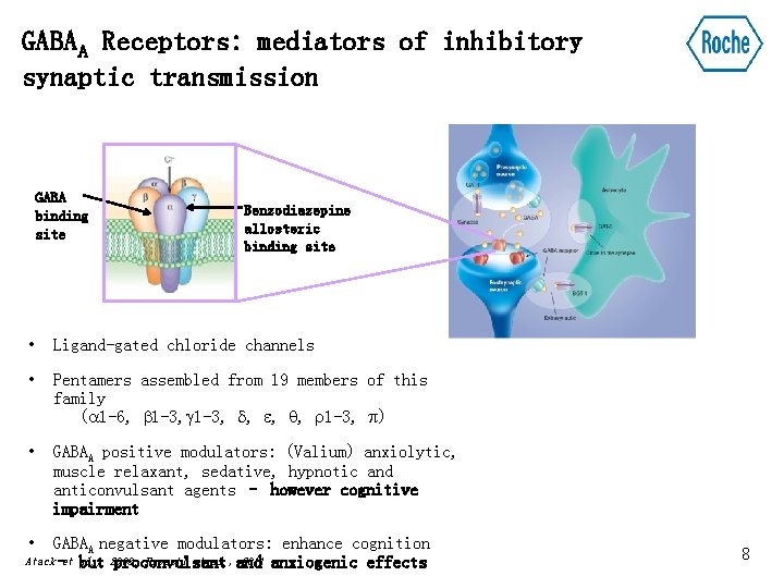 GABAA Receptors: mediators of inhibitory synaptic transmission GABA binding site Benzodiazepine allosteric binding site