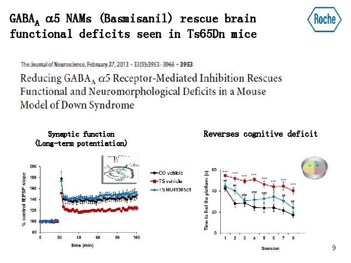 GABAA 5 NAMs (Basmisanil) rescue brain functional deficits seen in Ts 65 Dn mice