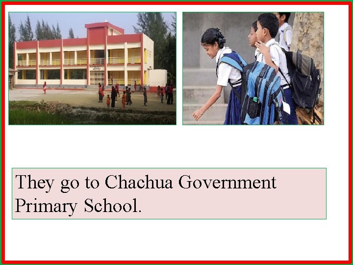 They go to Chachua Government Primary School. 