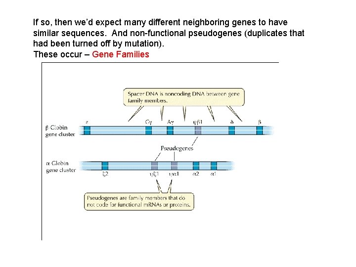 If so, then we’d expect many different neighboring genes to have similar sequences. And