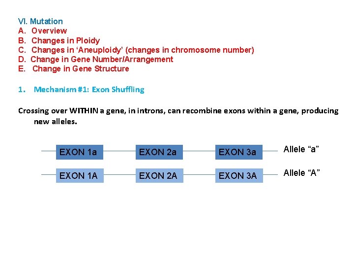 VI. Mutation A. Overview B. Changes in Ploidy C. Changes in ‘Aneuploidy’ (changes in