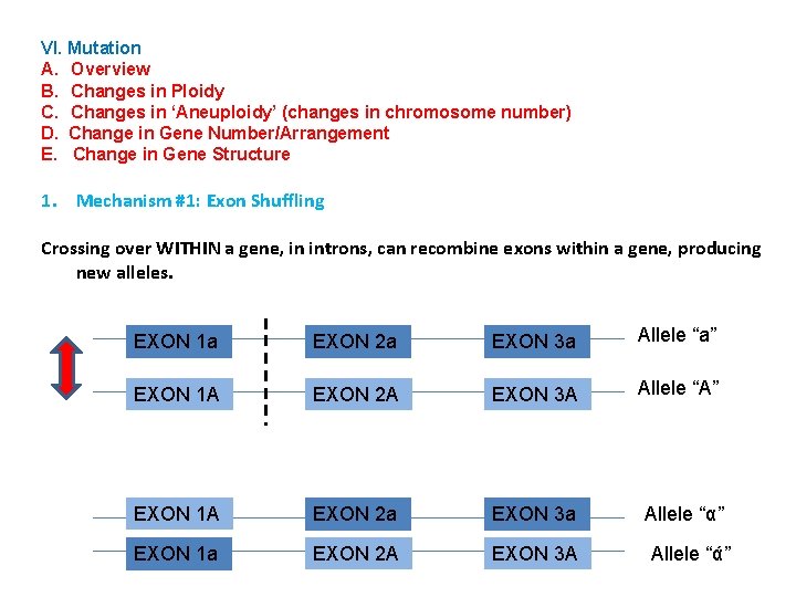 VI. Mutation A. Overview B. Changes in Ploidy C. Changes in ‘Aneuploidy’ (changes in