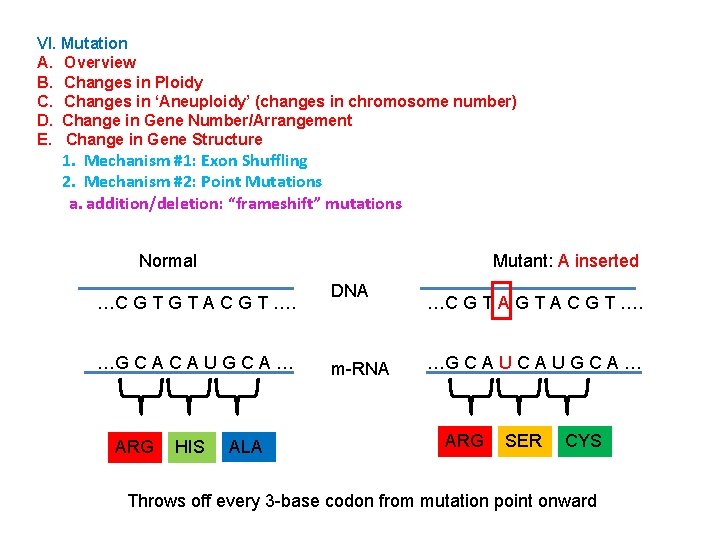 VI. Mutation A. Overview B. Changes in Ploidy C. Changes in ‘Aneuploidy’ (changes in