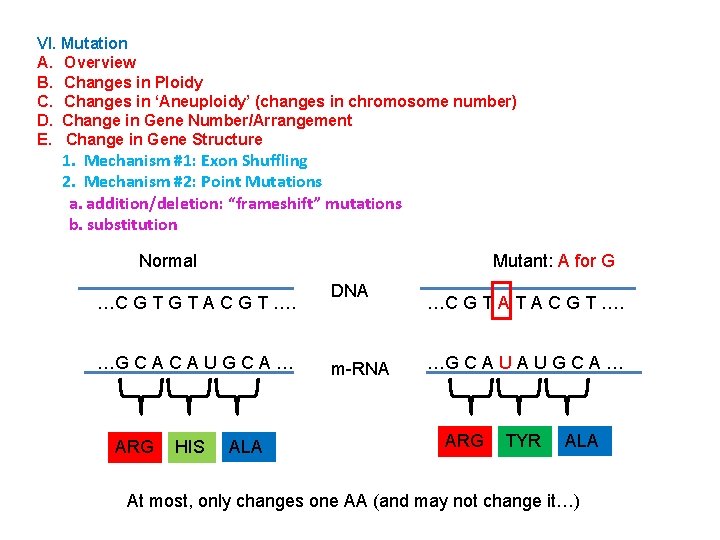 VI. Mutation A. Overview B. Changes in Ploidy C. Changes in ‘Aneuploidy’ (changes in
