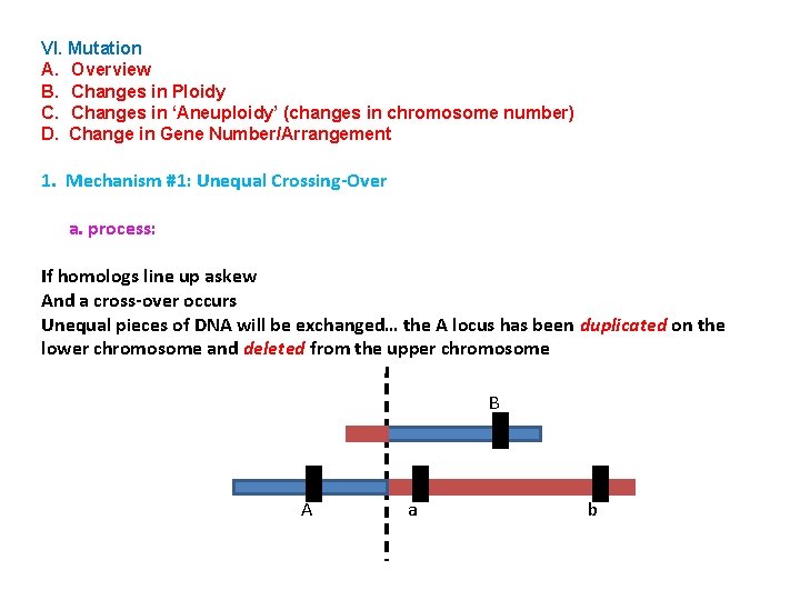 VI. Mutation A. Overview B. Changes in Ploidy C. Changes in ‘Aneuploidy’ (changes in