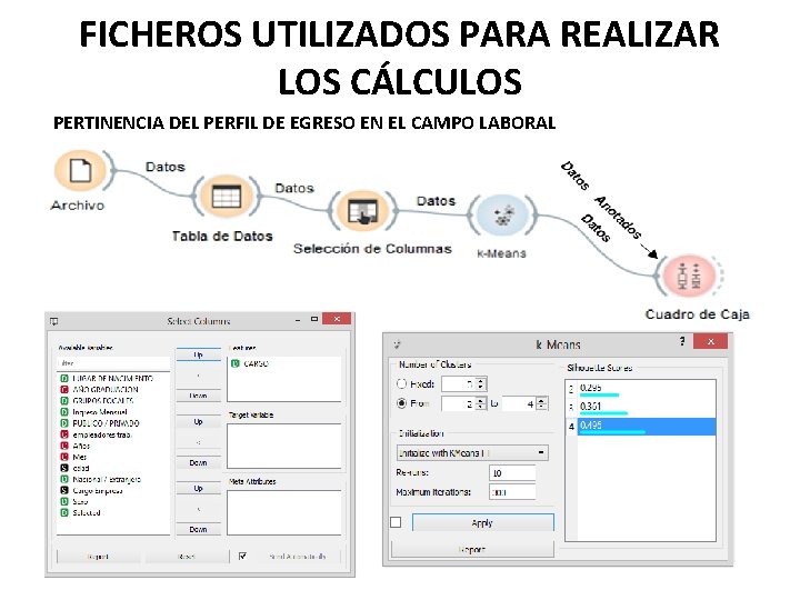 FICHEROS UTILIZADOS PARA REALIZAR LOS CÁLCULOS PERTINENCIA DEL PERFIL DE EGRESO EN EL CAMPO