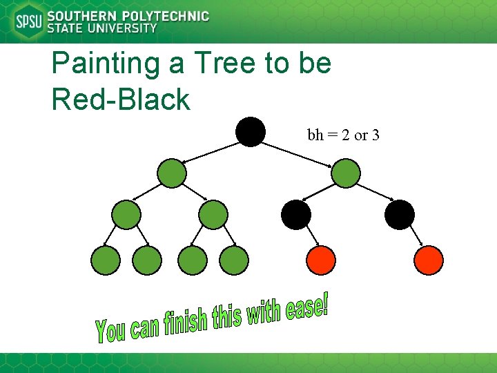 Painting a Tree to be Red-Black bh = 2 or 3 