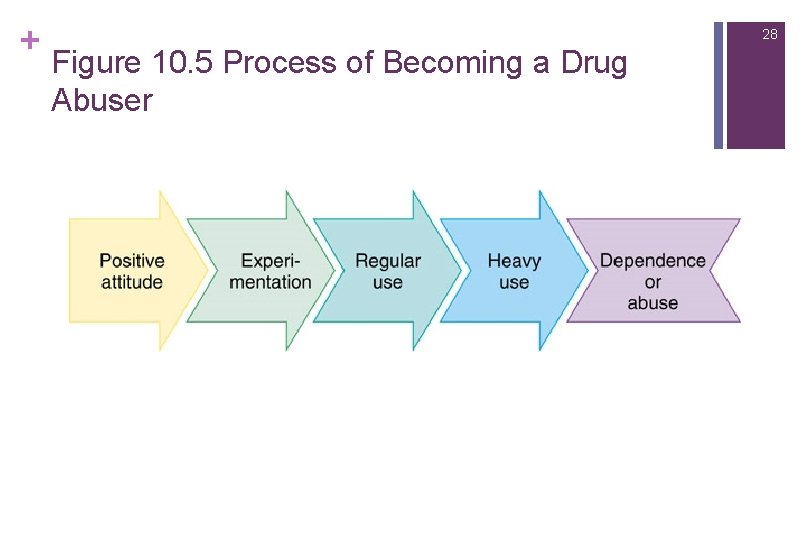 + 28 Figure 10. 5 Process of Becoming a Drug Abuser 