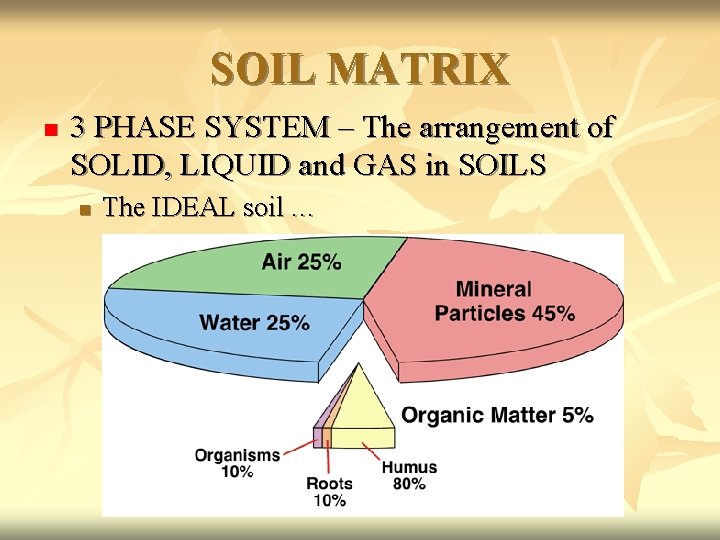 SOIL MATRIX n 3 PHASE SYSTEM – The arrangement of SOLID, LIQUID and GAS