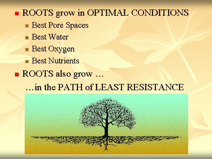 n ROOTS grow in OPTIMAL CONDITIONS n n n Best Pore Spaces Best Water
