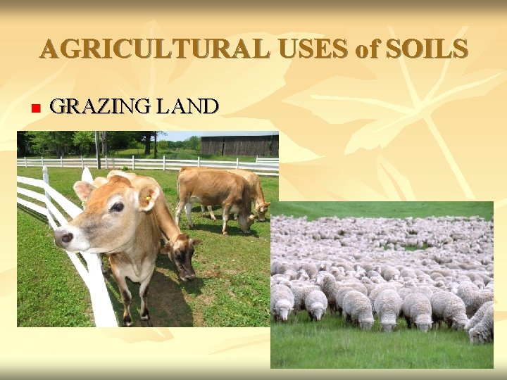 AGRICULTURAL USES of SOILS n GRAZING LAND 