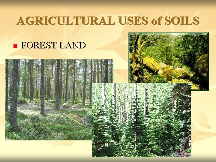 AGRICULTURAL USES of SOILS n FOREST LAND 
