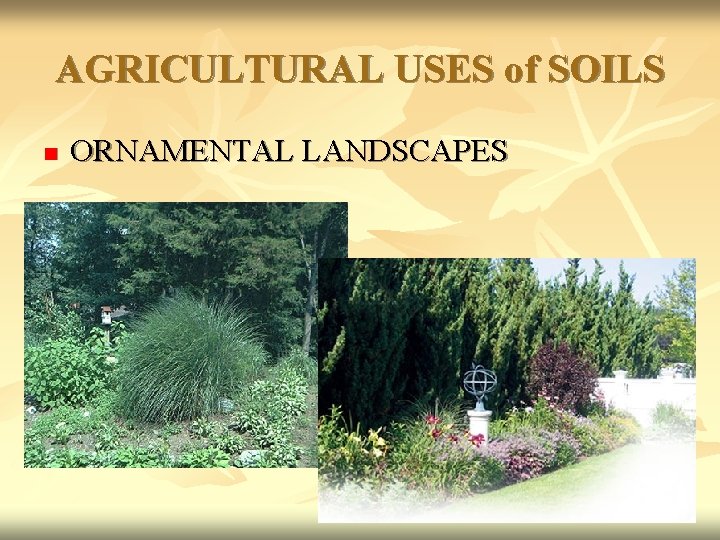 AGRICULTURAL USES of SOILS n ORNAMENTAL LANDSCAPES 