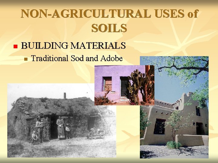 NON-AGRICULTURAL USES of SOILS n BUILDING MATERIALS n Traditional Sod and Adobe 