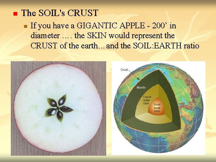 n The SOIL's CRUST n If you have a GIGANTIC APPLE - 200’ in