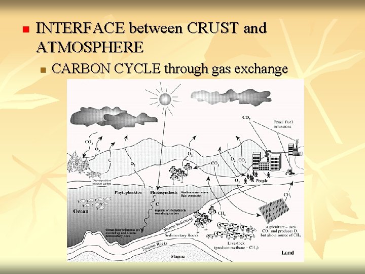 n INTERFACE between CRUST and ATMOSPHERE n CARBON CYCLE through gas exchange 