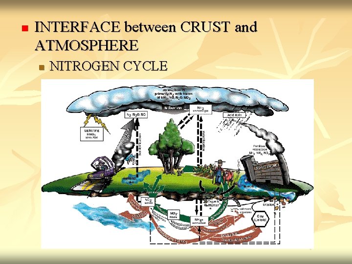 n INTERFACE between CRUST and ATMOSPHERE n NITROGEN CYCLE 