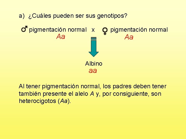 a) ¿Cuáles pueden ser sus genotipos? pigmentación normal x Aa pigmentación normal Aa Albino