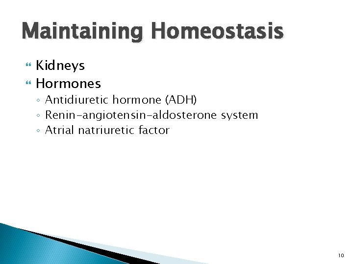 Maintaining Homeostasis Kidneys Hormones ◦ Antidiuretic hormone (ADH) ◦ Renin-angiotensin-aldosterone system ◦ Atrial natriuretic