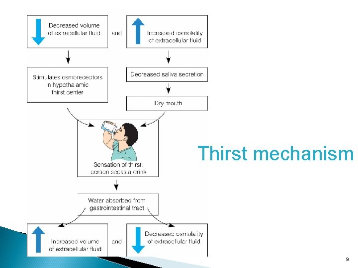 Thirst mechanism 9 