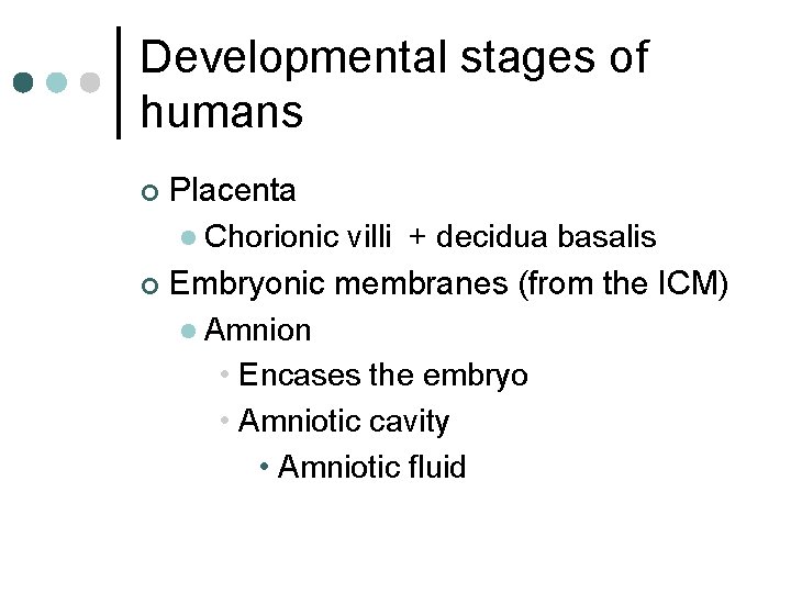 Developmental stages of humans Placenta l Chorionic villi + decidua basalis ¢ Embryonic membranes