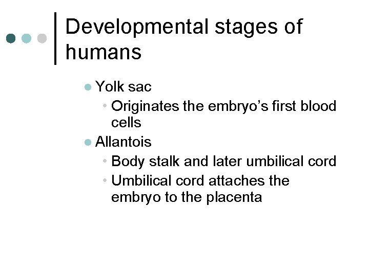 Developmental stages of humans l Yolk sac • Originates the embryo’s first blood cells