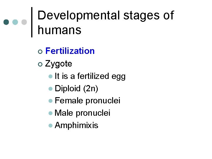 Developmental stages of humans Fertilization ¢ Zygote l It is a fertilized egg l