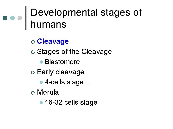 Developmental stages of humans Cleavage ¢ Stages of the Cleavage l Blastomere ¢ Early