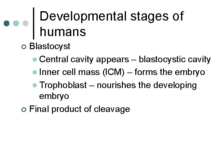 Developmental stages of humans Blastocyst l Central cavity appears – blastocystic cavity l Inner