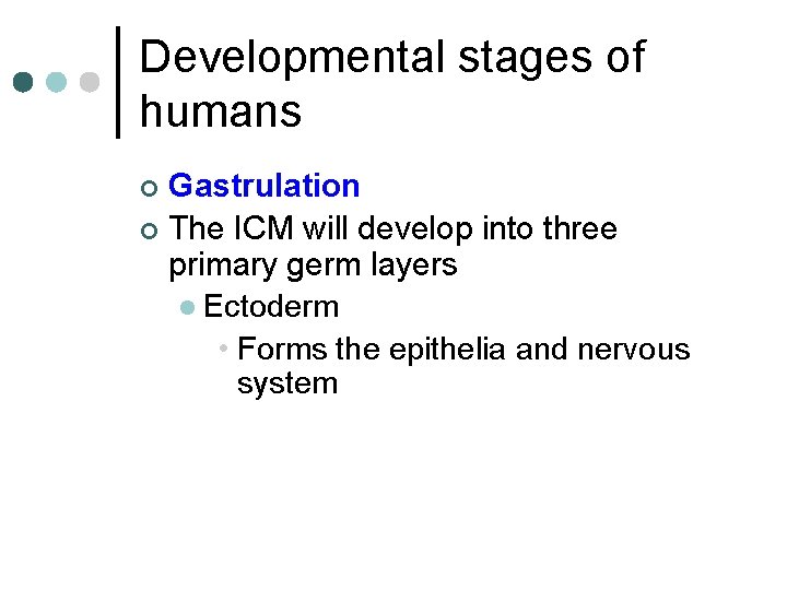 Developmental stages of humans Gastrulation ¢ The ICM will develop into three primary germ