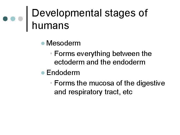 Developmental stages of humans l Mesoderm • Forms everything between the ectoderm and the