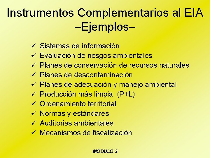 Instrumentos Complementarios al EIA –Ejemplos– ü Sistemas de información ü Evaluación de riesgos ambientales