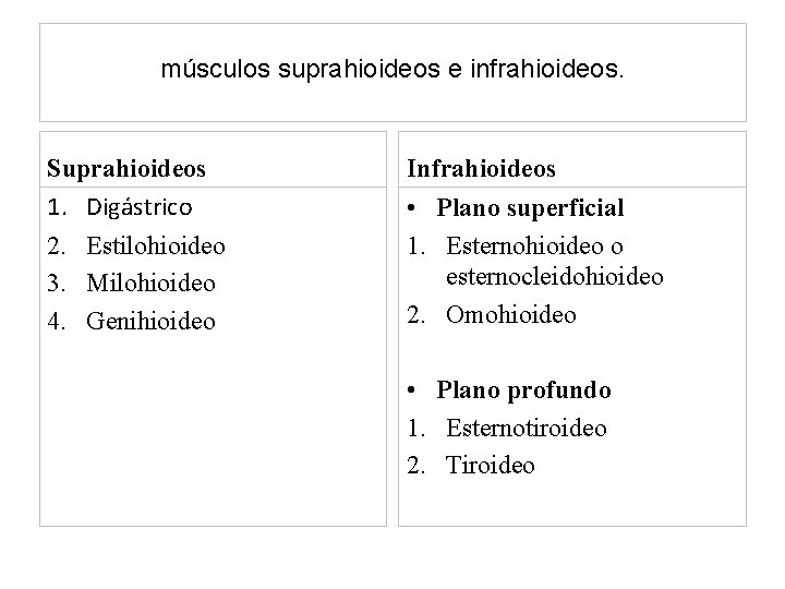 músculos suprahioideos e infrahioideos. Suprahioideos 1. Digástrico 2. Estilohioideo 3. Milohioideo 4. Genihioideo Infrahioideos