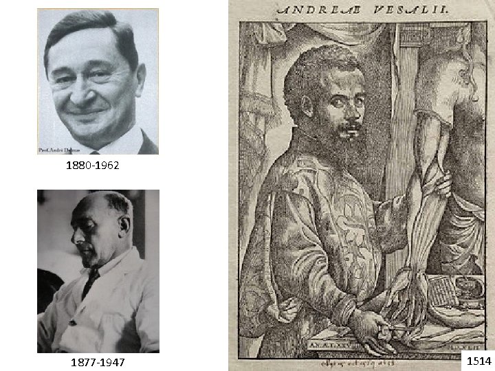 1880 -1962 1877 -1947 1514 
