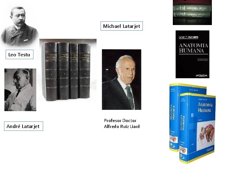 Michael Latarjet Leo Testu André Latarjet Profesor Doctor Alfredo Ruiz Liard 