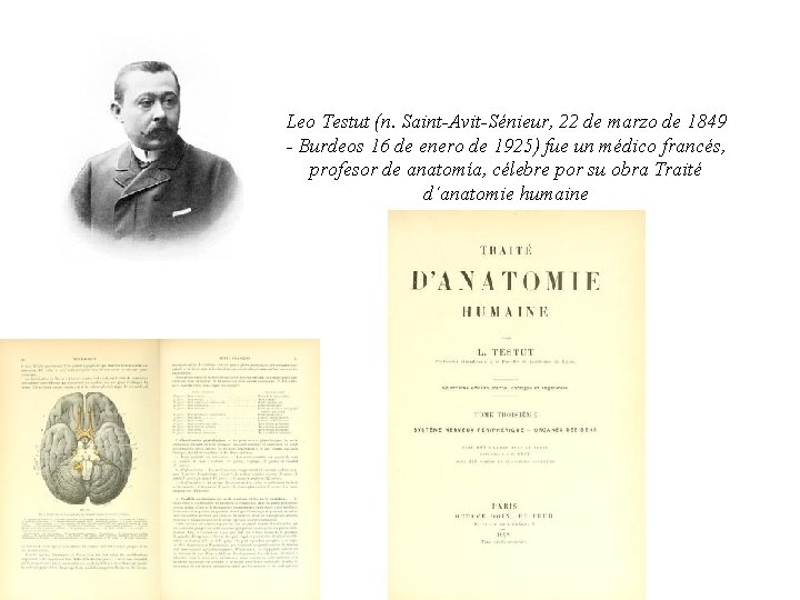 Leo Testut (n. Saint-Avit-Sénieur, 22 de marzo de 1849 - Burdeos 16 de enero