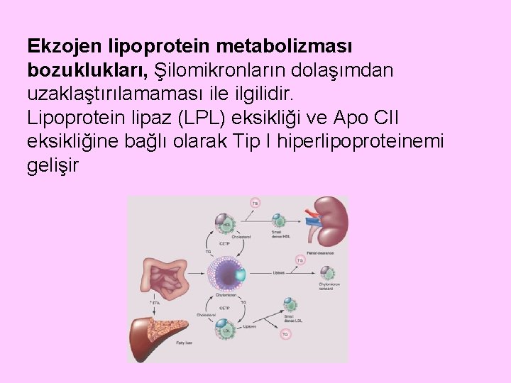 Ekzojen lipoprotein metabolizması bozuklukları, Şilomikronların dolaşımdan uzaklaştırılamaması ile ilgilidir. Lipoprotein lipaz (LPL) eksikliği ve