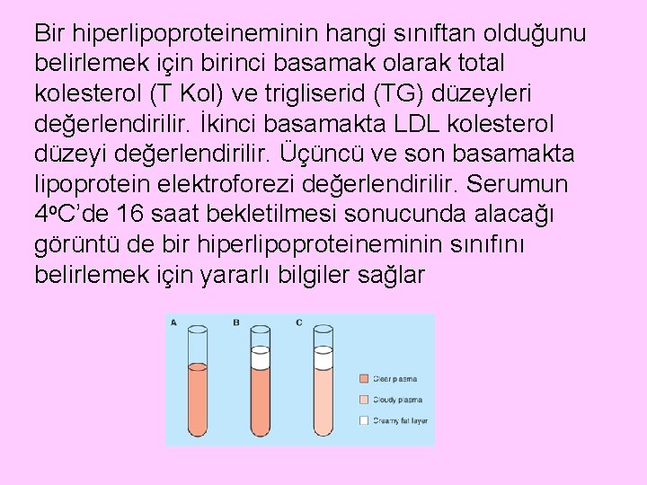 Bir hiperlipoproteineminin hangi sınıftan olduğunu belirlemek için birinci basamak olarak total kolesterol (T Kol)