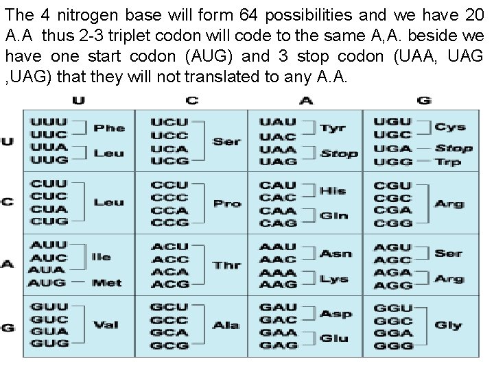 The 4 nitrogen base will form 64 possibilities and we have 20 A. A