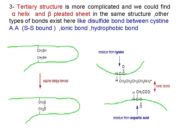 3 - Tertiary structure is more complicated and we could find α helix and