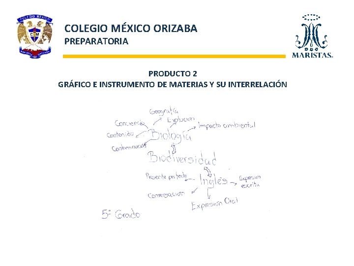 COLEGIO MÉXICO ORIZABA PREPARATORIA PRODUCTO 2 GRÁFICO E INSTRUMENTO DE MATERIAS Y SU INTERRELACIÓN